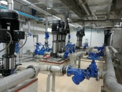 Máy bơm ly tâm trục đứng Paragon CDL 12-10