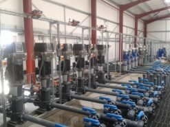 Máy bơm ly tâm trục đứng Paragon CDM 15-13